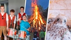 Robin am Schlagzeug, ein Sonnwendfeuer für Inklusion und ein geretteter Fink – vermeintlichen ...