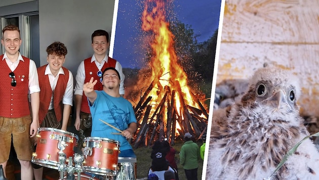 Robin am Schlagzeug, ein Sonnwendfeuer für Inklusion und ein geretteter Fink – vermeintlichen ...