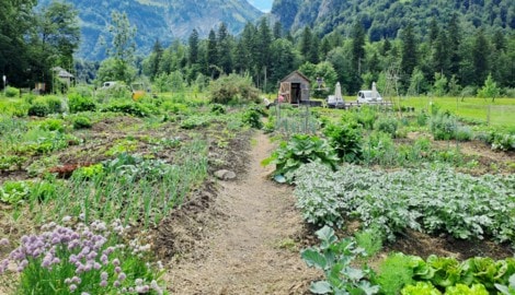 Eine Oase: der Gemeinschaftsgarten in Bezau.