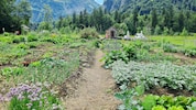 Eine Oase: der Gemeinschaftsgarten in Bezau.