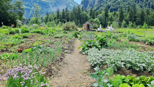 Eine Oase: der Gemeinschaftsgarten in Bezau.