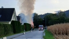 Vor allem Thujen-Hecken soll der Verdächtige in Brand gesetzt haben.