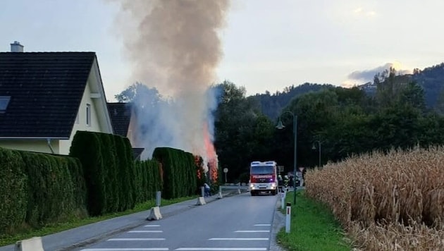 Vor allem Thujen-Hecken soll der Verdächtige in Brand gesetzt haben.
