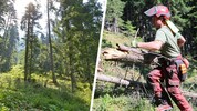 122 Milliarden Euro Umsatz wurden mit Holz erwirtschaftet.