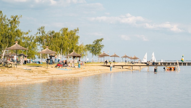 Nein, dieser Sandstrand befindet sich nicht in Marokko, sondern in Breitenbrunn am Neusiedler ...