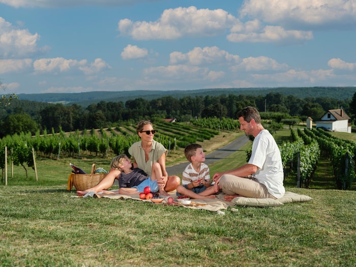 Wenn das Geld nur für einen Tagesausflug reicht: Wie wäre es mit einem Picknick in den ...