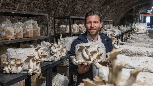 Daniel Konrad im geschichtsträchtigen Stollen, der 213 Jahre alt ist