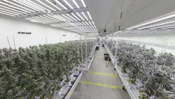Unfassbare Mengen Cannabis wurden sichergestellt.