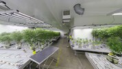 Die Cannabisplantage wurde hochprofessionell betrieben.