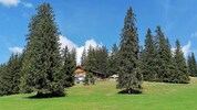 Die Gufferthütte feiert heuer ihren 100-jährigen Bestand.