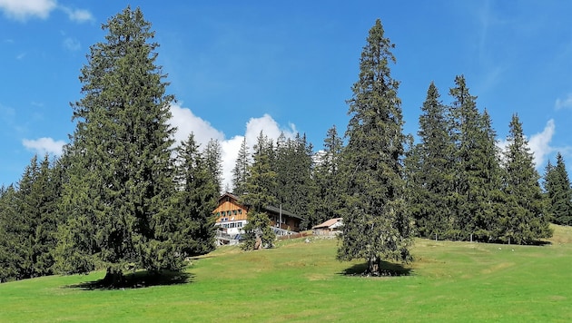 Die Gufferthütte feiert heuer ihren 100-jährigen Bestand.