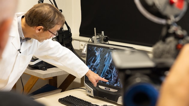 Die Gesteinsproben wurden in der Montanuni Leoben analysiert.