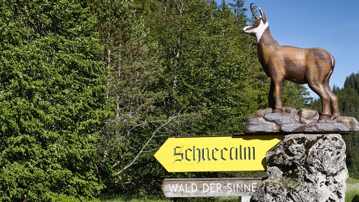 Dieser entzückende Wegweiser sorgt dafür, dass die Richtung stimmt.