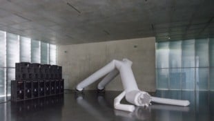 „Visitant“: Ein Luftikus, angetrieben, durchtrieben und hilflos zugleich.
