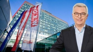 Der designierte RBI-Chef Michael Höllerer ortet Sparpotenzial bei der Kammer.