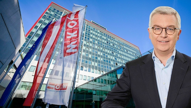 Der designierte RBI-Chef Michael Höllerer ortet Sparpotenzial bei der Kammer.