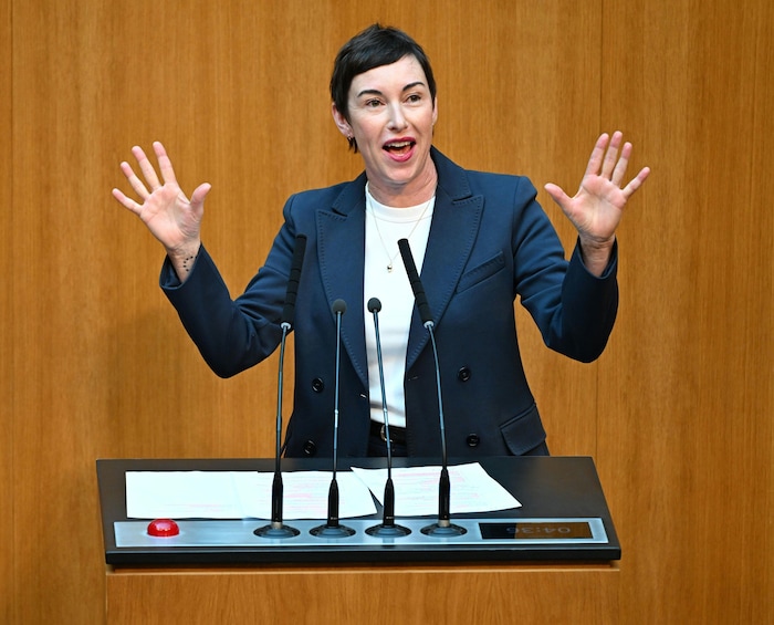 NEOS-Mediensprecherin Brandstötter kritisiert ihre Regierungspartner.