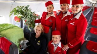 „Millaa Millaa“ (in der Transportbox) reiste mit ihrer Tierpflegerin und bekam von der ...