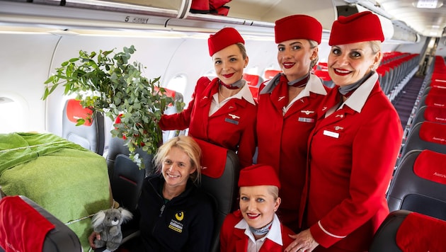 „Millaa Millaa“ (in der Transportbox) reiste mit ihrer Tierpflegerin und bekam von der Crew ...