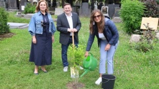 Unsere Kasperln haben am Meidlinger Friedhof nicht nur Sportgeräte vorgesteltl, sondern auch ...