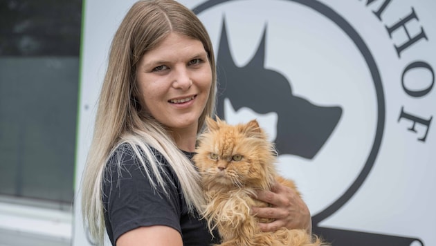 Der Kater kann seine Gefühle nicht so zeigen, ist aber sicher auch genauso happy mit den neuen ...