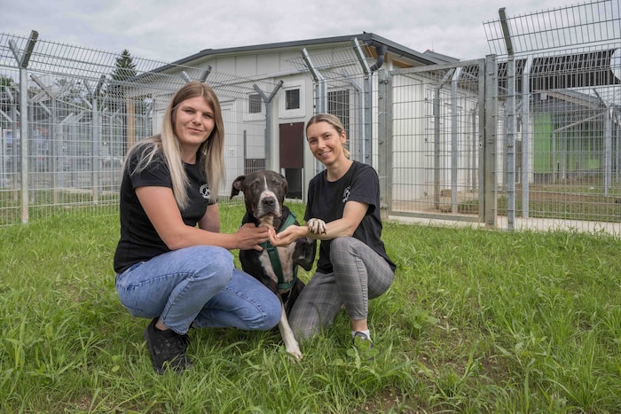 Antonia Schöllauf und ihre Rechte Hand Michelle Sabathy vor den neuen Gehegen, die sogar einen ...