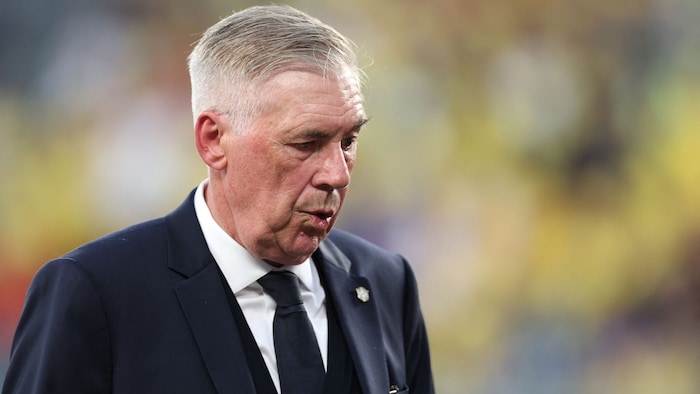 Brasilien-Trainer Carlo Ancelotti