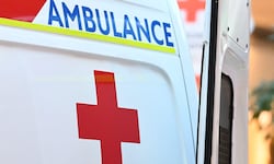 Sechs Personen wurden mit Rettungsautos ins Krankenhaus Eisenstadt gebracht, drei von ihnen ins ...