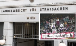 Bei ihrem Heimatklub FK Austria sind sie schon lange nicht mehr erwünscht. Dafür machten sie bei ...