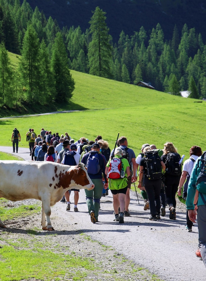 Von Zauchensee geht es Richtung Tauernkarleitenalm.