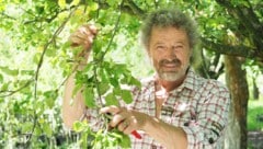 Blühpracht vom Rarsten – der Biogärtner Martin Artner hat sich im Waldviertel ein kleines ...