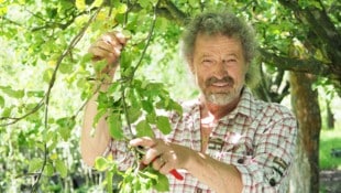 Blühpracht vom Rarsten – der Biogärtner Martin Artner hat sich im Waldviertel ein kleines ...