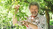 Blühpracht vom Rarsten – der Biogärtner Martin Artner hat sich im Waldviertel ein kleines ...