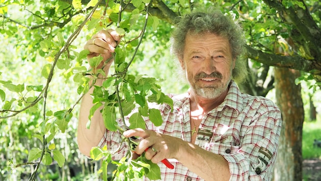 Blühpracht vom Rarsten – der Biogärtner Martin Artner hat sich im Waldviertel ein kleines ...