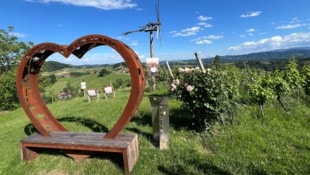 Dieser Tage lockt vor allem die Südsteiermark viele Gäste an. 