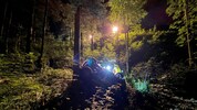 Der 65-Jährige stürzte mit seinem Wagen rund 50 Meter ab.