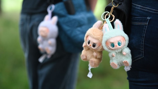 Der Hype um „Labubu“ erlebte vergangenen Sommer seinen Höhepunkt.