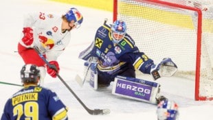 Alois Schultes hütete vier Saisonen das Tor der Zeller Eisbären.