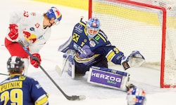Alois Schultes hütete vier Saisonen das Tor der Zeller Eisbären.