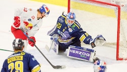 Alois Schultes hütete vier Saisonen das Tor der Zeller Eisbären.