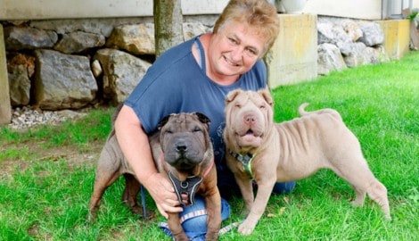 Herzensbrecher mit Falten: „Buster“ (li.) und ein Geschwisterl mit Tierheimleiterin Susanne ...