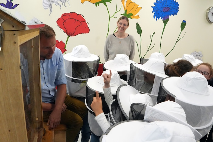 „Bienen schauen“ im Klassenzimmer – mit vielen Wortmeldungen.