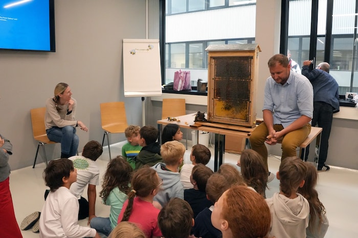 Was tut sich hinter der Glasscheibe im Schaukasten? Der Imker erzählte über das Leben der ...