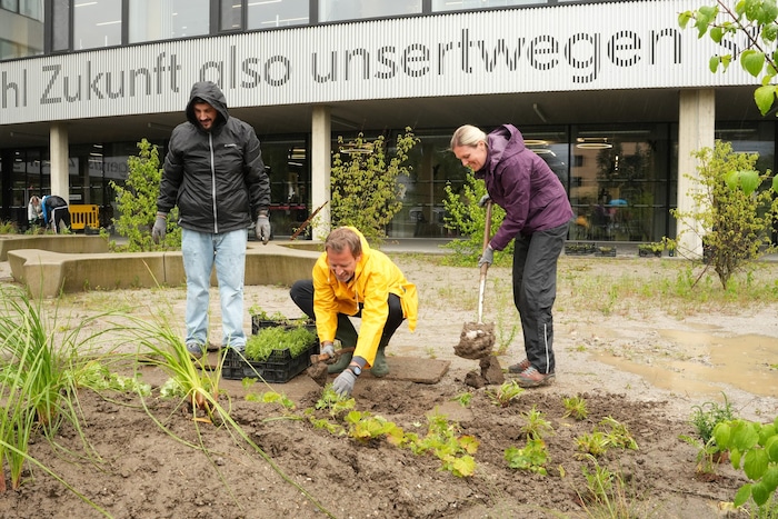 Auch im Innenhof der PHT tut sich einiges – Bepflanzungsaktion kürzlich bei Regenwetter.