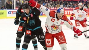 Spielte in der Champions Hockey League schon gegen die Eisbullen: Kalynuk (links).