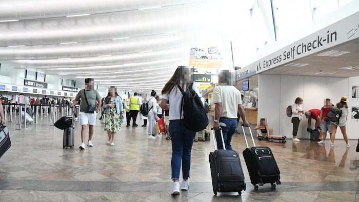 Security-related areas at Vienna International Airport are not affected (file photo)
