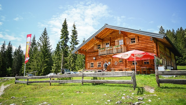 Einkehren, Probier-Häppchen und Live-Musik genießen.