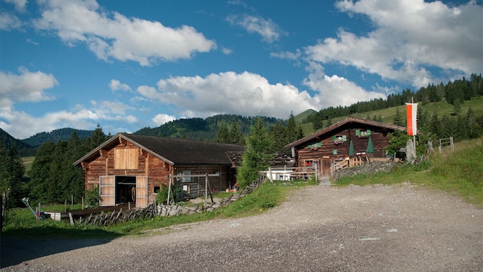 Schnitzhofalm