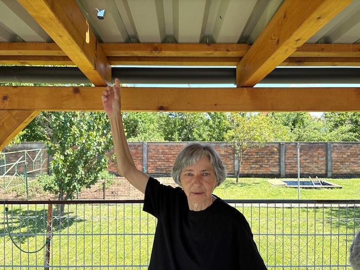 Gerlinde Ivancsics und das zerfranste Loch, das der Meteorit im Dach ihrer Pergola hinterlassen ...