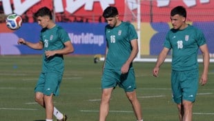 Mehdi Torabi (mi.)